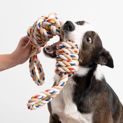 Best Dog Toys, Rope Diy, Dog Car Seat Cover, Dog Memorial Gift, Dog Safety, Pet Memorial Gifts, Dachshund Puppy, Senior Dog, Shelter Dogs