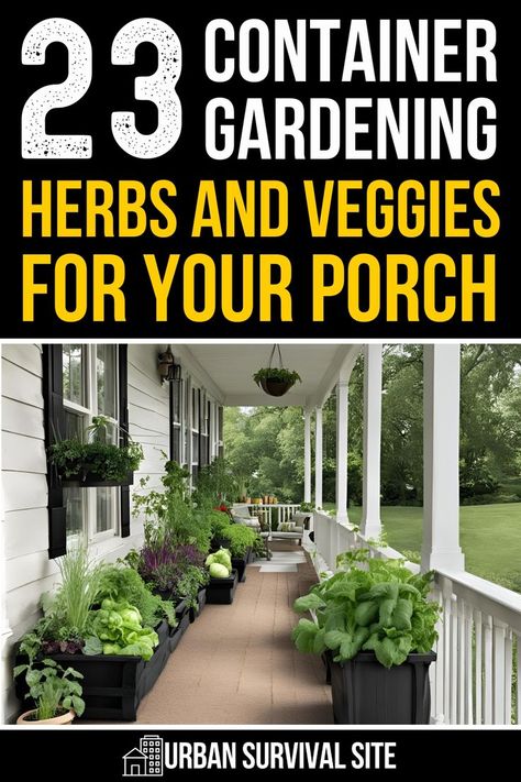 Container gardening is all about making the most out of the space you’ve got. All it takes to turn your outdoor balcony or porch into a container garden is a pinch of creativity and a dash of strategy. Rather than planting one crop in one small pot, we are going to focus on planting multiple crops in one sizeable pot. This method makes the most of your space and gives you the most variety of veggies and herbs possible. Patio Herbs In Pots, Porch Container Gardening, Herbs In Pots Outdoors, Container Gardening Herbs, Herb Garden Container, Apocalypse Training, Produce Garden, Growing Herbs In Pots, Balcony Herb Gardens