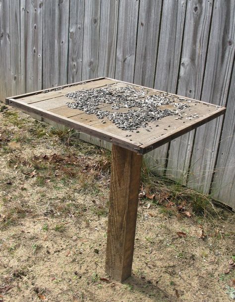 Pallet scraps, framed, onto a 4"x4" post for platform feeder. 60-minute project. #birdfeederplans #diybirdfeederplans #homemadebirdfeeder #wildbirdscoop Build A Bird Feeder, Bird Feeders Diy, Cottage Yard, Platform Bird Feeder, Bird Feeder Station, Large Bird Feeders, Cabin Garden, Backyard Birds Sanctuary, Backyard Birds Feeders