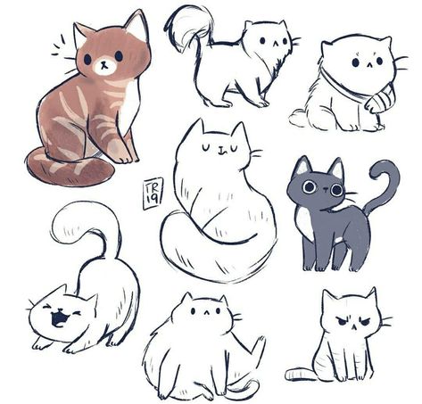 Cat Doodle, Cat Sketch, Drawing Faces, Drawing Cat, Cat Pose, 캐릭터 드로잉, Cat Eyes, Animal Sketches, Arte Animal