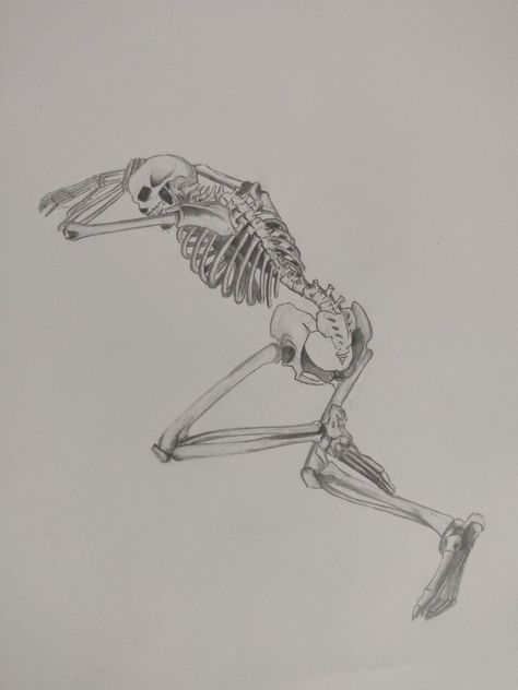 Back side skeleton laying down pencil sketch Simple Skeleton Drawing, Side Skeleton, Anatomy Pose, Deity Work, Skeleton Body, Skeleton Anatomy, Skeleton Drawings, Skull Art Drawing, Skeleton Tattoos