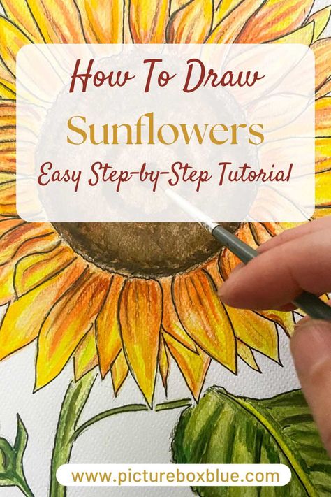 Drawing A Sunflower Step By Step, Easy To Draw Wildflowers, Paint A Sunflower Step By Step, Fall Flowers Drawing Easy, Sunflower Directed Drawing, How To Draw A Sun Flower, How To Draw Sunflowers Step By Step Easy, Drawing Sunflowers Step By Step, Colored Pencil Sunflower