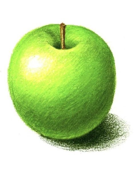 Realistic Fruit Drawing Colored Pencils, Green Apple Drawing, Easy Realistic Drawings, Color Wheel Art Projects, Colored Pencil Artwork Ideas, Apple Drawing, Fruit Sketch, Fruit Drawing, Fruit Art Drawings