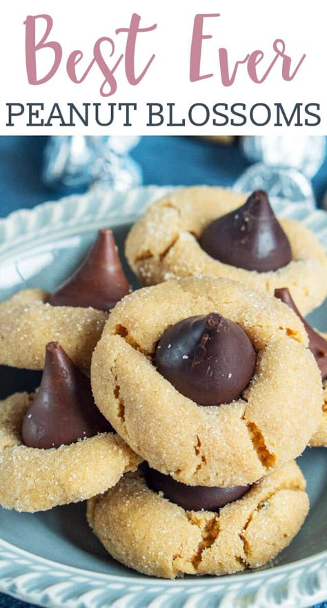 Calling all chocolate peanut butter lovers! This classic Peanut Butter Blossoms cookie recipe is one you'll need in your recipe box. Peanut Butter Kiss, Peanut Butter Kiss Cookies, Butter Blossoms, Peanut Butter Blossom Cookies, Blossom Cookies, Kiss Cookies, Peanut Butter Blossoms, Dessert Aux Fruits, Peanut Butter Lovers