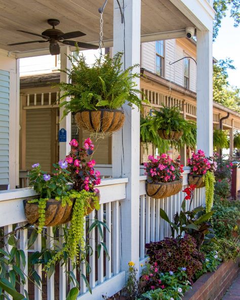 Land Scape Design, Simple Landscape Ideas, Apartment Balcony Decor, Exterior Christmas Decorations, Apartment Porch, Corner Apartment, Small Garden Design Ideas, Modern Front Porches, Front Porch Plants