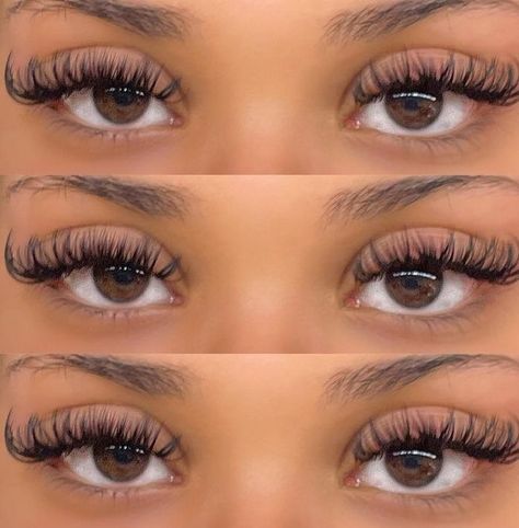 Lash Mapping Almond Eyes, Best Lashes For Eye Shape, Eyelash Extension For Almond Eyes, Roundish Almond Eyes Lashes, Best Lash Extensions For Almond Eyes, Lashes Extensions Almond Eyes, Sultry Lash Extensions, Lashes Extensions For Almond Eyes, Best Lashes For Almond Eyes