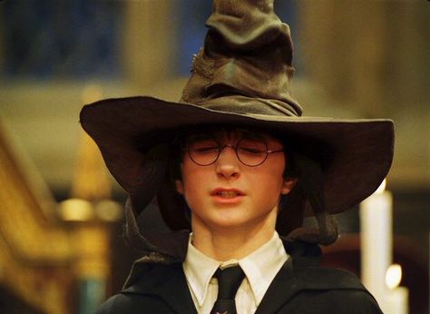 Not slytherin, not slytherin! Harry Potter Dvd, Meme Harry Potter, Harry Potter Candles, Harry Potter Hat, Film Harry Potter, Harry Potter Sorting Hat, Michael Gambon, Chris Columbus, Harry Potter Pin