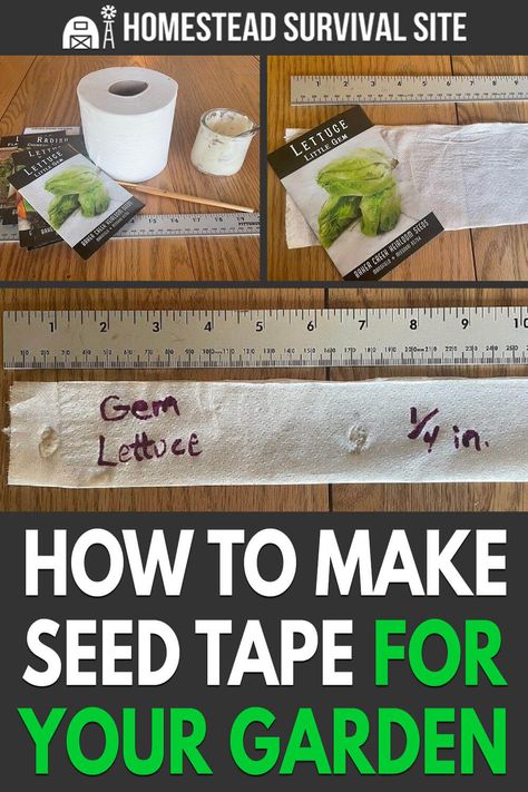 Seed Tape Diy, Seed Tape, Herbal Tea Garden, When To Plant Vegetables, Chicken Feeders, Garden Help, Food Forest, Homestead Survival, Garden Yard Ideas