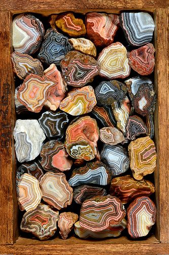 Fairburn Agate, Pretty Rocks, 수채화 그림, Cool Rocks, Beautiful Rocks, Mineral Stone, Minerals And Gemstones, Rocks And Gems, Patterns In Nature