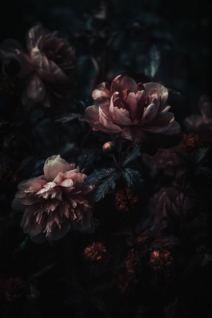 Premium Photo | A dark background with flowers and a dark background Real Flowers Aesthetic, Dark Moody Florals, Flowers Reference Photo, Dark Floral Arrangements, Dark Flowers Aesthetic, Black Flowers Aesthetic, Flower Aesthetic Dark, Dark Flower Aesthetic, Dark Background Aesthetic