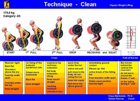 Blonyx - #Infographic - The Olympic Lifts: a Breakdown Olympic Weights, Olympic Weightlifting, Olympic Lifting, Crossfit Workouts, Gym Humor, I Work Out, Powerlifting, Weight Training, The Times