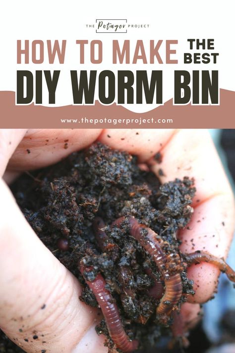 A hand gently holding moist soil containing several earthworms, suggesting the use of organic methods like vermiculture for soil fertility. Vermicomposting Worm Farm, Worm Farm Diy, Worm Castings Tea, Worm Tea, Worm Beds, Worm Composting Bin, Project Runaway, Composting For Beginners, Making A Compost Bin