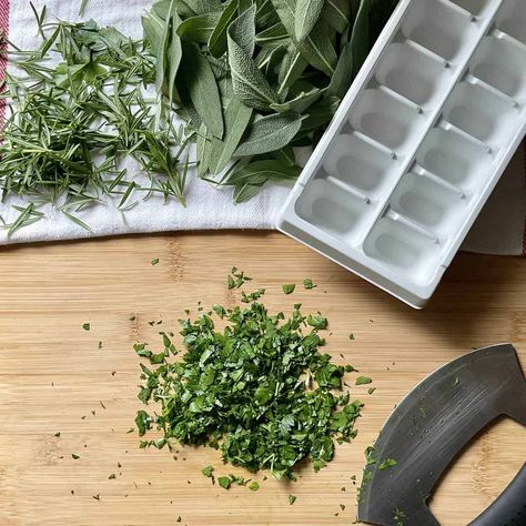 Freezing Parsley, Freeze Fresh Herbs, Freezing Fresh Herbs, Preserve Fresh Herbs, Freezing Tomatoes, Freezing Herbs, Salad Spinner, Aromatic Plant, Freezer Burn