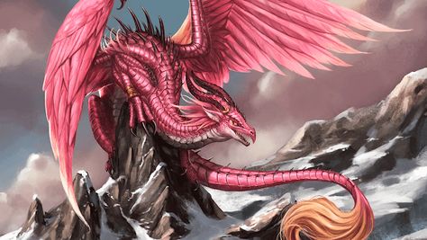 Dnd Pink, Dragon Meaning, Dragon Dnd, Feathered Dragon, Lord Of The Rings Tattoo, Dragon Shield, Great Jokes, Funny Car Memes, Dnd Dragons