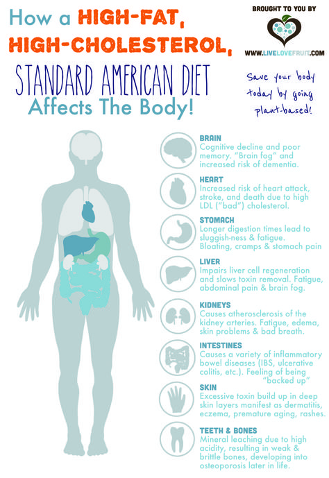 How a High Fat, High Cholesterol Diet Affect The Body High Cholesterol Diet, What Causes High Cholesterol, Food Collage, Big Food, Cholesterol Test, Standard American Diet, Brain Memory, American Diet, Lower Your Cholesterol