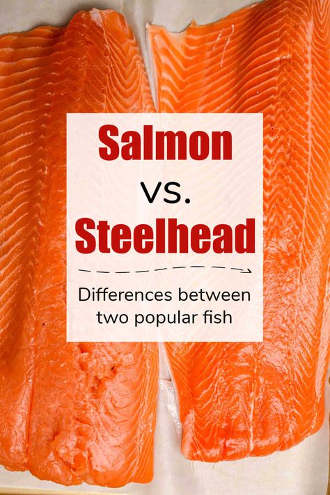 Steelhead Fish Recipes, Steelhead Salmon Recipes, Steel Trout Recipes, Steelhead Fillet Recipes, Steel Head Trout Recipes Air Fryer, Steelhead Trout Recipes, Steel Head Trout Recipes Baked, Steel Head Trout Recipe, Trout Recipe