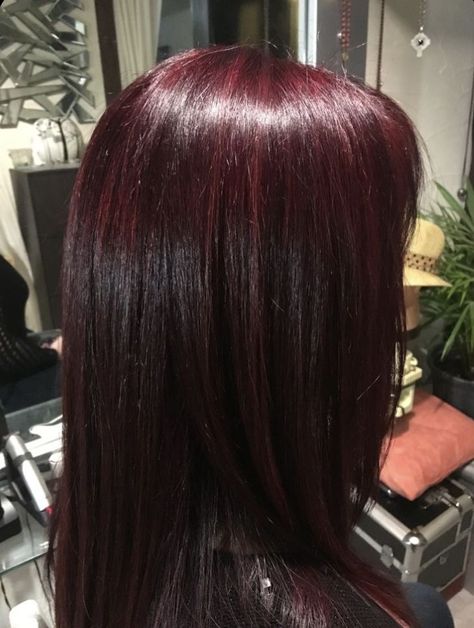 Aesthetic Hair Dye Ideas For Brunettes, Dark Fuchsia Hair, Res Hair Color, Dark Red Hair With Highlights, Dark Red Hair Aesthetic, Dark Wine Red Hair, Dark Maroon Hair, Dark Cherry Hair, Pelo Color Vino