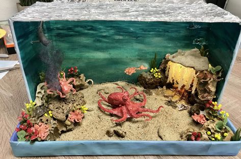 Giant pacific octopus diorama! So proud of how my sons diorama turned out! Octopus Diorama, Ocean Diorama, Biomes Project, Pacific Octopus, Diorama Kids, Aquarium Craft, Giant Pacific Octopus, Octopus Crafts, Habitats Projects