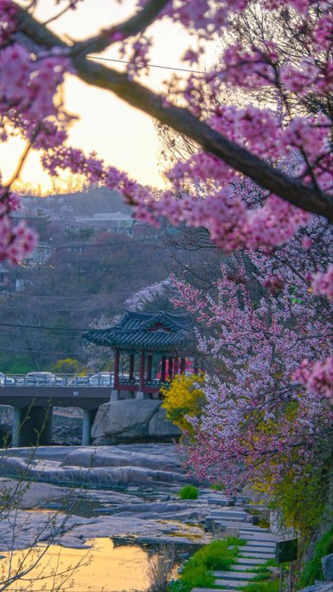 Spring Aesthetic Korea, Korea Asthetic Wallpers, Korean Landscape Aesthetic, South Korean Aesthetic Wallpaper, Korean Nature Aesthetic, South Korea Wallpaper Aesthetic, Korean Background Aesthetic, Korean Culture Aesthetic, Korean Background