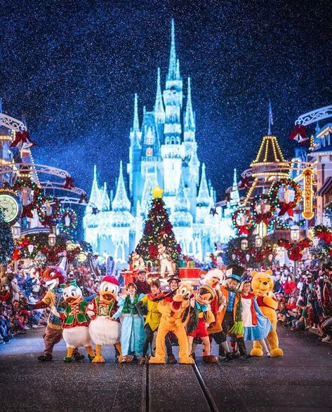 The Magical Lifestyle on Instagram: “Quite possibly the most magical of all Christmas photos at The Magic Kingdom ever!!! Awesome shot by @somewareatdisney . . #photography…” Disney World Christmas, Christmas Displays, Funny Morning Pictures, Very Merry Christmas Party, Merry Christmas Images, Christmas Parade, Disney Addict, Very Merry Christmas, Disney Christmas