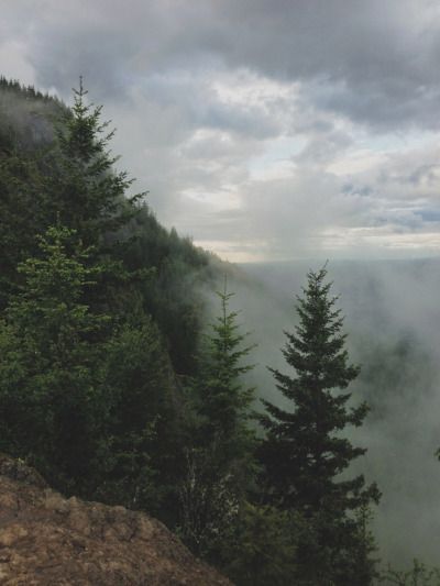 The Clouds, Trees