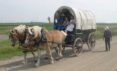 This is a picture of a covered wagon being pulled by two horses, also called a horse and buggie. This was the perferred way to travel on the Oregon Trail. The reson it was perferred is because you could transport alot of clothing, food, people or equipment from one place to another in less time than you could walking. Even though this method was quicker for travel alot of people still died to fevers, snakebites and othe obsticals while on the trail. Horse Transportation, Horse And Wagon, Horse Wagon, Horse Drawn Wagon, Inktober 2024, Old Wagons, The Oregon Trail, Wedding Transportation, Pull Cart