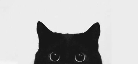 Cat Tattoo Ideas, Cat Phone Wallpaper, Black Cat Aesthetic, White And Black Cat, Name Of God, Photo Cover, Arte 8 Bits, Cat Background, Cute Laptop Wallpaper