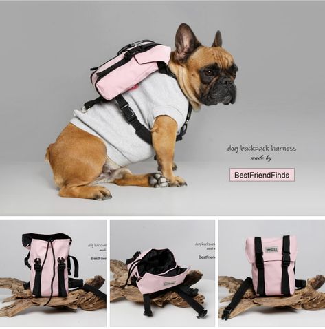 Harness Accessories, Dog And Owner Matching, Custom Dog Harness, Sporty Dog, Harness Design, Dog Hiking, Backpack Handmade, Bulldog Clothes, Puppy Backpack