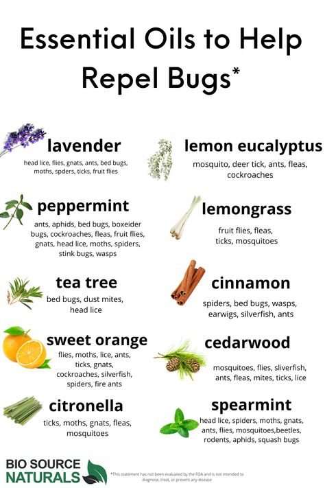 Bee Repellent Essential Oils, Essential Oils That Repel Bugs, Diy Insect Repellent For Home, Essential Oil Pest Control, Gnat Repellant Essential Oils, Essential Oil For Spider Repellent, Essential Oils Insect Repellent, Homemade Bug Repellent For House, Natural Indoor Bug Repellent