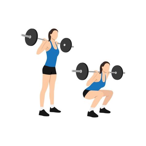 Woman doing Squat with barbell exercise. Flat vector illustration isolated on white background Barbell Squats Women, Squat Illustration, Squat With Barbell, Deadlift Women, Workout Illustration, Dance Clipart, Back Squat, Squat With Bar, Weighted Squats