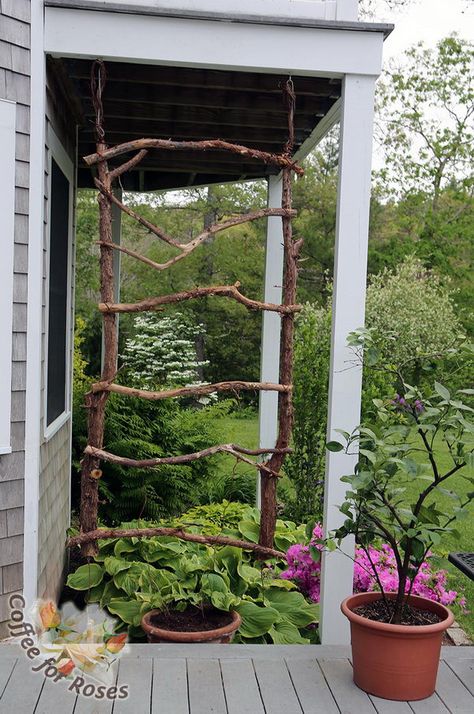 Take a look at these DIY Garden Trellis Ideas and Find one That's Needs in Your Garden! - Gravetics Rustic Trellis, Diy Arbour, Vine Trellis, Arbors Trellis, Diy Garden Trellis, Garden Obelisk, Diy Trellis, Garden Vines, Have Inspiration