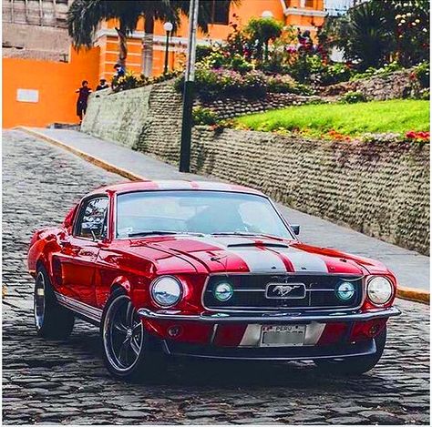 Mustang GT 1968 Siyah Mustang, Auto Jeep, 67 Mustang, Red Mustang, Mustang Car, Bond Cars, Mustang Gt500, Auto Retro, Ford Mustang Shelby Gt500