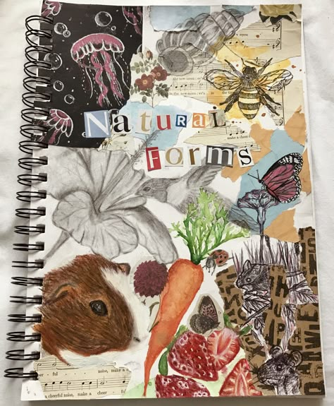 Artist Title Ideas, Sustain Investigation Art, Gcse Art Textiles Sketch Books, Title Page Art A Level, Gcse Sketchbook Title Page, Title Page Ideas Sketchbook, Gcse Art Inspiration Page, Art And Craft Book Cover Design, Art Gcse Coursework