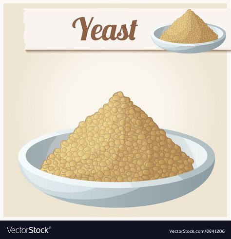 Yeast Detailed Icon Royalty Free Vector Image - VectorStock Yeast Drawing, Yeast Illustration, Cookie Vector, Chalkboard Vector, Noni Fruit, Tiramisu Dessert, Cracker Cookies, Food Stock, Fruit Cartoon