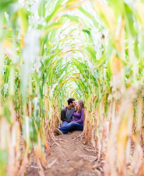 Country Engagement, Farm Engagement Photos, Corn Field, Engagement Photos Fall, Foto Tips, Fall Photoshoot, Wedding Engagement Photos, Photo Couple, Fall Pictures