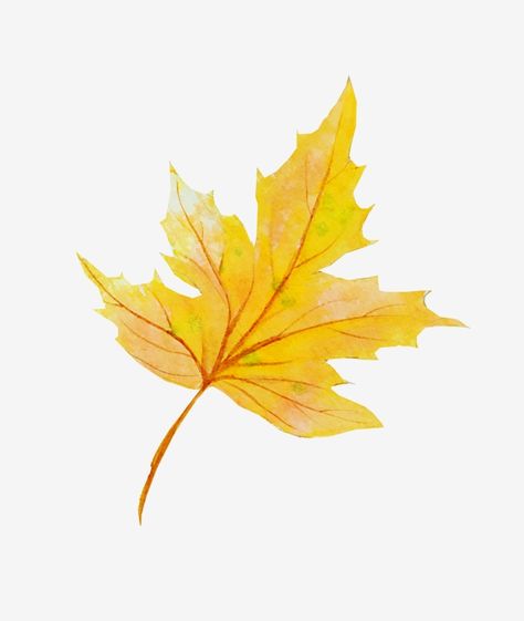 Cartoon Leaves, Leaves Cartoon, Cartoon Leaf, Autumn Leaves Background, Leaves Png, Yellow Leaf, Yellow Tree, Leaves Autumn, Leaf Background