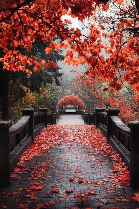 "🌲🍁 Immerse yourself in Stanley Park, Vancouver’s natural jewel! Enjoy scenic trails, beautiful waterfront views, and a diverse range of outdoor activities. 🚴‍♂️🌅 #StanleyPark #Vancouver #NatureEscape" Stanley Park Vancouver, Stanley Park, Vancouver Canada, Green Space, Outdoor Activities, Vancouver, Range, Green, Nature