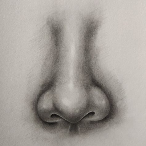 Nose Front View, How To Draw Nose, Draw Nose, Draw A Nose, Nose Drawing, Front View, A Face, To Draw, Sketch