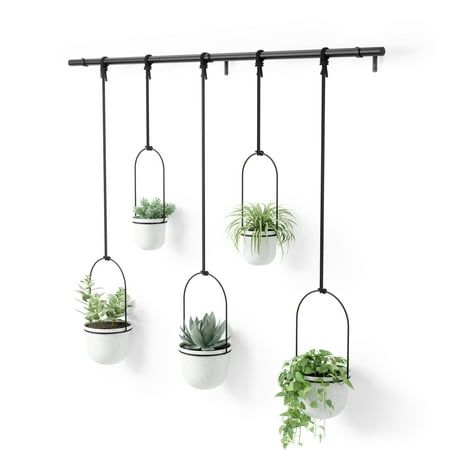 Hanging plants diy