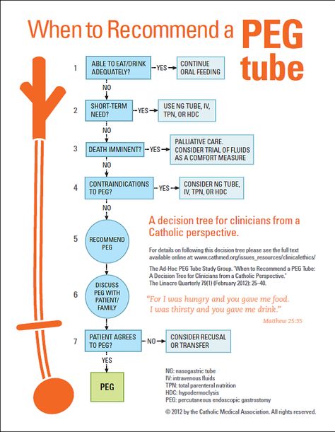 Peg Tube Nursing, Peg Tube Feeding, Nutrition Notes, Clinical Dietitian, Nursing Interventions, Nursing Procedures, Gi System, Enteral Feeding, Nurse Notes