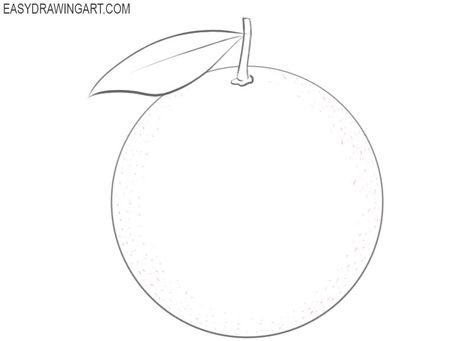 How to Draw an Orange Easy | Easy Drawing Art Orange Simple Drawing, Orange Pencil Drawing, Simple Orange Drawing, Orange Drawing Simple, Drawing In Circle, Orange Drawing, Nitrogen Fixing Plants, Fruit Coloring, Fruit Sketch