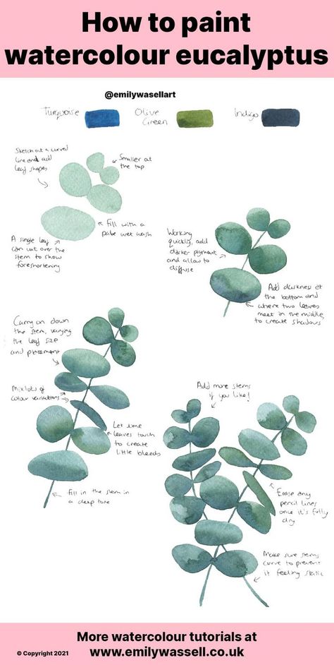 Paint Eucalyptus Leaves Acrylic, Watercolour Beginners Ideas, Watercolour Eucalyptus Leaves, How To Paint Eucalyptus Leaves Acrylic, How To Paint Eucalyptus Leaves, Water Colour Leafs, Eucalyptus Acrylic Painting, Painting Eucalyptus Leaves Acrylic, Watercolor Flowers Easy Step By Step