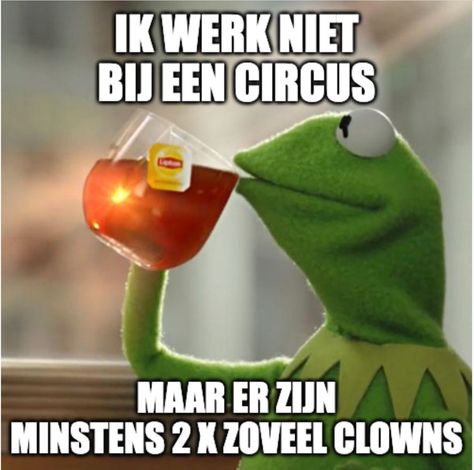 Memes Kermit, Business Meme, Defamation Of Character, Kermit Meme, Kermit Funny, Dutch Quotes, Baby Memes, Kermit The Frog, Flirting Quotes