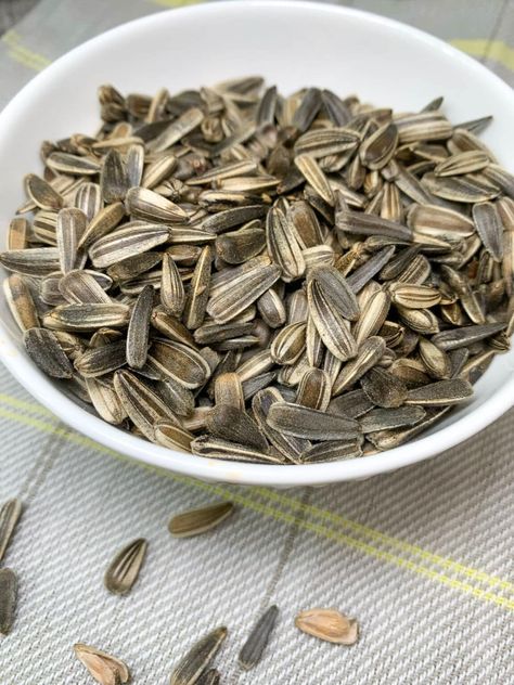 How to Harvest Sunflower Seeds Sunflower Seeds Aesthetic, Seeds To Eat, Harvest Sunflower Seeds, Sunflower Seed Recipes, Harvesting Sunflower Seeds, Russian Aesthetic, Growing Sunflowers, Scarlett Rose, Homemade Tortillas