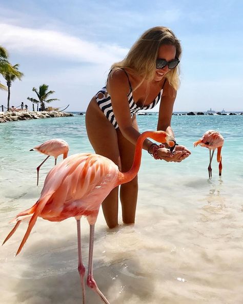 @carigolfgetaway posted to Instagram: Photo by Caribbean in America/Aruba with @jaell_, @arubatourism, and @caribbeanhotspots. caribbeanhotspots🏝: Flamingo Beach • Aruba🌴 🏖: @caribbeanhotspots 📸: @jaell_ ----------------------------------- #caribbeangolf⛳⛳ #Anguilla #Aruba #AntiguaAndBarbuda #Bahamas #Bvi #Barbados #Cuba #Curacao #Cancun #CaymanIslands #DominicanRepublic #Usvi #TurksAndCaicos #luxurytravel#TrinidadAndTobago #StMartin #StLucia #S Aruba Flamingo, Flamingo Beach Aruba, Aruba Island, Curacao Island, Island Holidays, Flamingo Beach, Beach Vacay, Dream Travel Destinations, Antigua And Barbuda