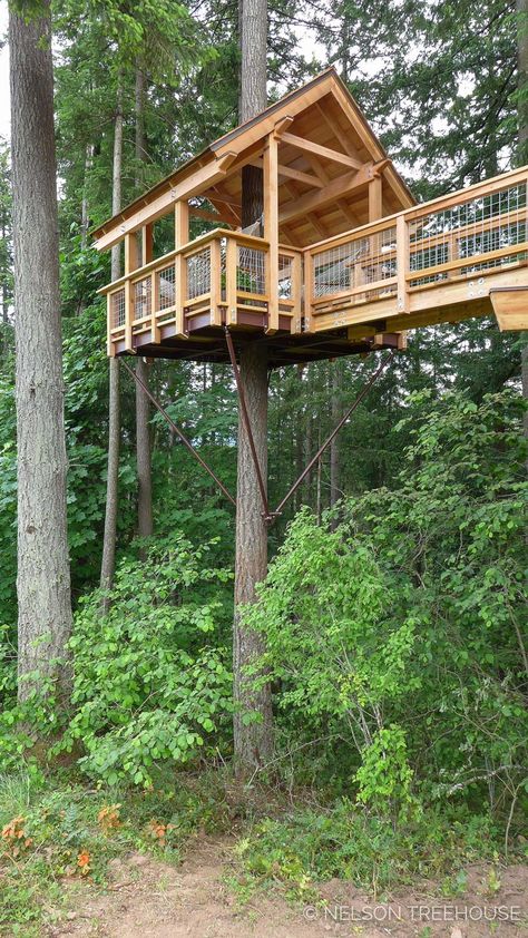 Oregon, Trees, Tree House Designs, Mt Hood, Shirtdress, In The Woods, A Tree, Tree House, Cabin