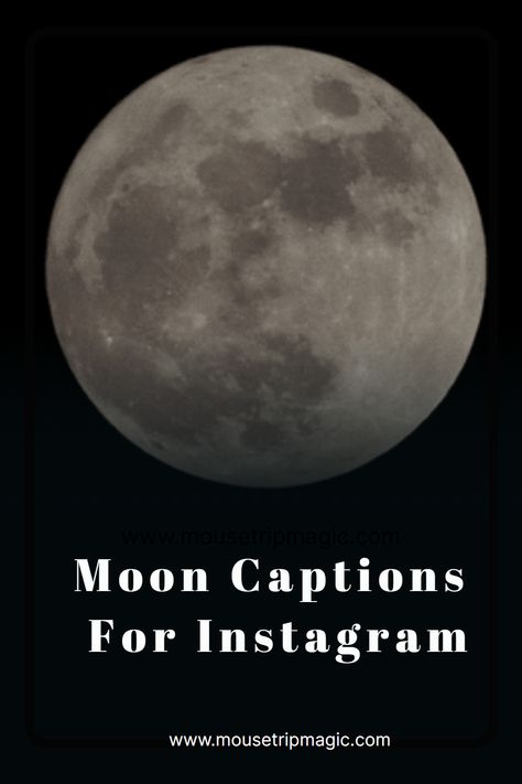 Discover the magic of the moon through the lens of your camera and unleash your creativity with our collection of Moon Captions for Instagram. From mystical phrases to playful puns, these captions will help you create mesmerizing posts that are sure to captivate your audience. Supermoon Quotes, Full Moon Captions, Moon Phrases Quotes, Moon Captions Instagram, Moon Quotes Short, Moon Sayings, Moon Captions, Instgram Captions, Moon Puns