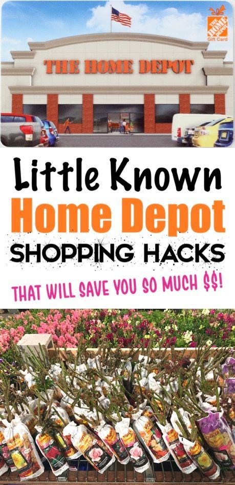 Garden Ideas for your Backyard Flower and Vegetable Gardens!  How to Save BIG with these Home Depot Shopping Hacks for Flowers, Vegetables, Trees, and your favorite House Plants! Secret Shopper, Backyard Nursery, Home Depot Gift Card, Rustic Outdoor Spaces, Frugal Gardening, Hacks To Save Money, Frugal Girls, Loft Furniture, Store Hacks