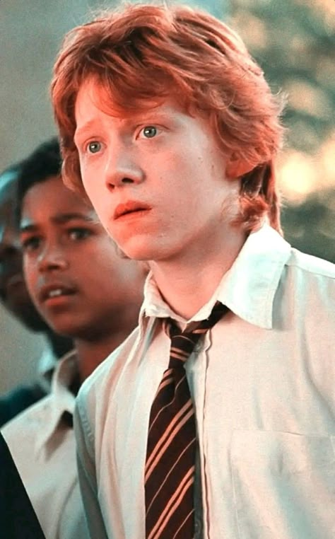 Gryffindor Characters, Ron Weasley Aesthetic, Harry Potter Marathon, Inspiration Poses, Weasley Aesthetic, Weasley Harry Potter, Ron And Harry, Harry Potter Ron Weasley, Gryffindor Slytherin