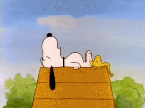 Cute GIF - Snoopy Peanuts Woodstock - Discover & Share GIFs Snoopy And Woodstock Matching Pfp, Snoopy Widget, Snoopy Pfp, Snoopy Sleeping, Sleeping Gif, Woodstock Snoopy, Holly Golightly, Snoopy Funny, Slaap Lekker